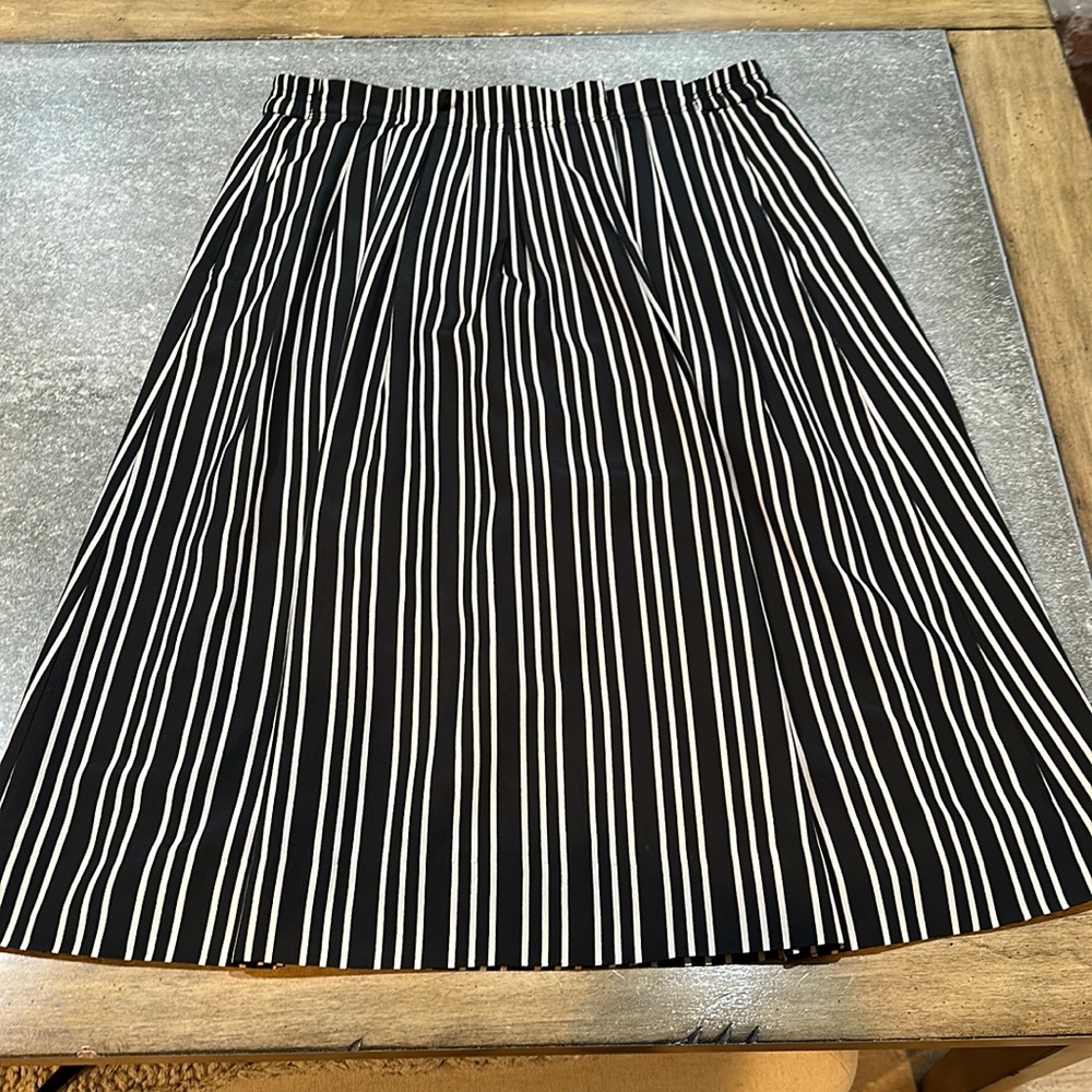 JCrew Fall15 silk lined skirt. True classic, elastic waist